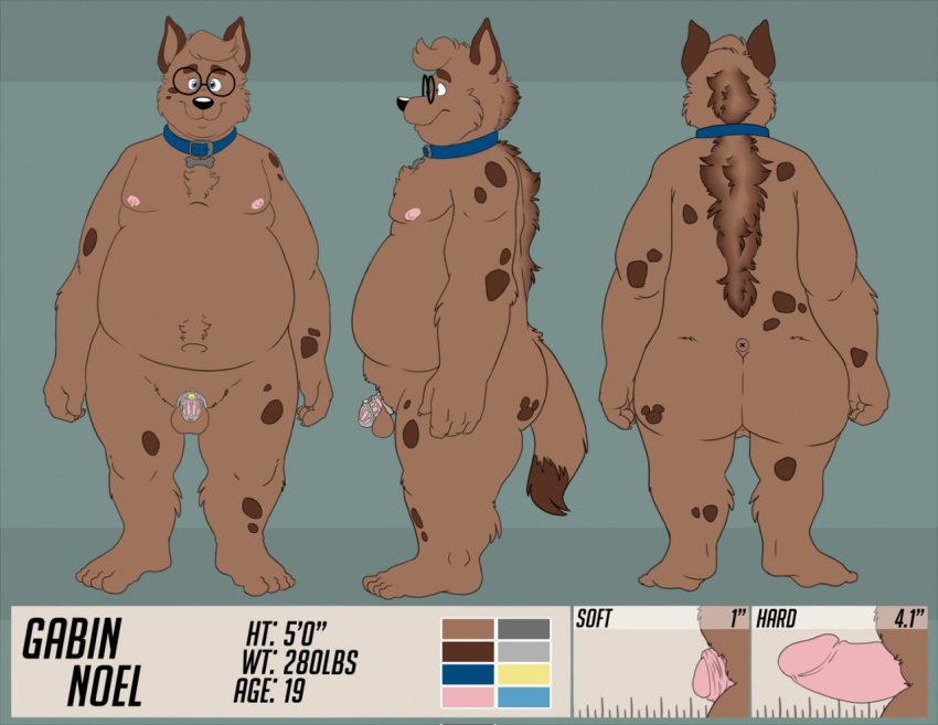 2018 anthro balls belly bravo brown_body brown_fur chastity_cage chastity_device collar eyewear flaccid fur genitals glasses hyaenid male mammal mlae model_sheet moobs nipples overweight overweight_male penis small_penis solo