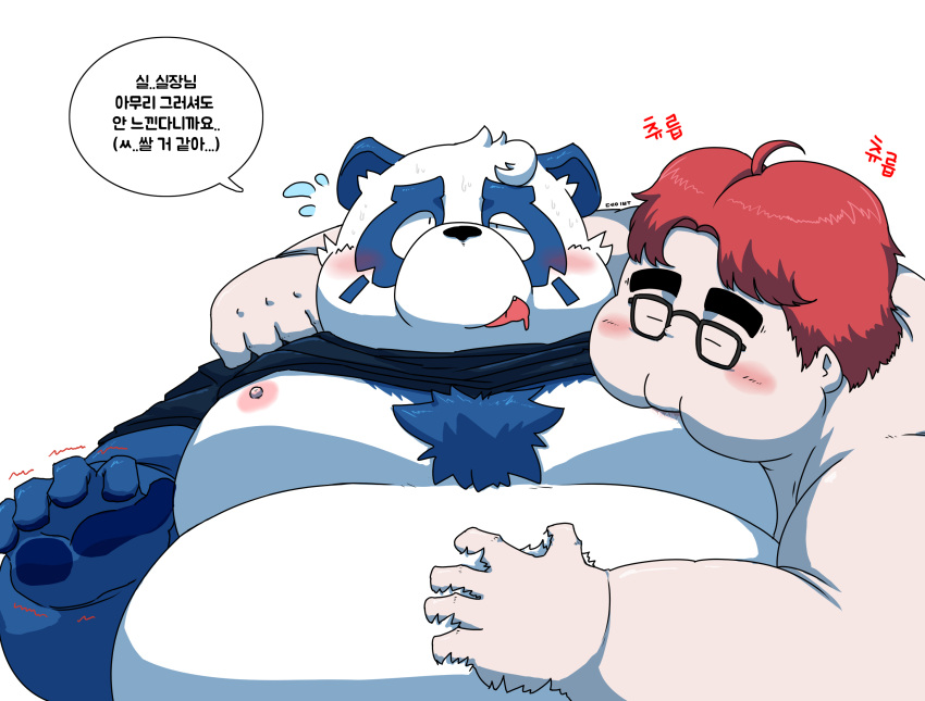 2021 anthro belly blush bodily_fluids clothing debudave_12 duo giant_panda hi_res human human_on_anthro humanoid_hands interspecies kemono male male/male mammal moobs nipples overweight overweight_male shirt simple_background sweat topwear ursid white_background