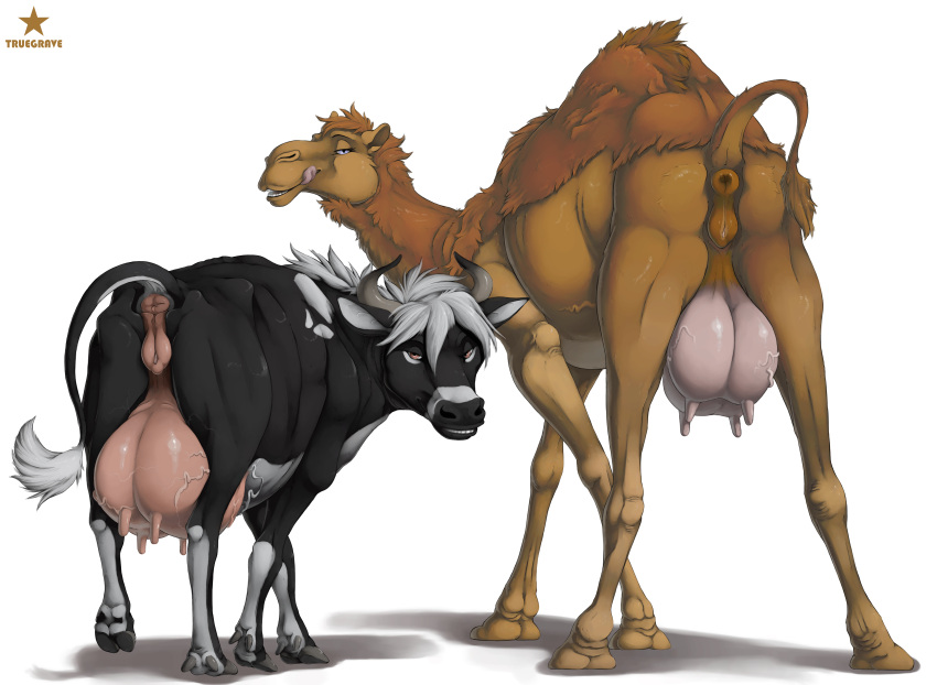 2020 absurd_res anatomically_correct anatomically_correct_genitalia anatomically_correct_pussy animal_genitalia animal_pussy anus bedroom_eyes bovid bovine bovine_pussy butt calira_(mcfan) camel camelid cattle duo female feral genitals hi_res licking licking_lips looking_at_viewer looking_back mammal narrowed_eyes presenting presenting_anus presenting_hindquarters presenting_pussy presenting_teats pussy raised_tail seductive simple_background teats teeth tongue tongue_out truegrave9 udders veiny_udders