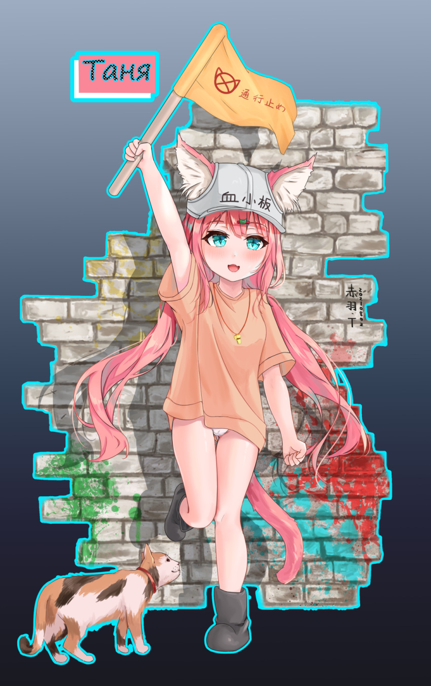 1girl animal_ear_fluff animal_ears arm_up ass_visible_through_thighs baseball_cap black_footwear blue_eyes boots brick_wall cat cat_ears cat_tail chinese_commentary commentary_request flag grey_headwear hair_ornament hairclip hat hataraku_saibou highres leg_up legs long_hair low_twintails no_pants open_mouth orange_shirt panties pink_hair platelet_(hataraku_saibou) shirt short_sleeves slit_pupils smile standing standing_on_one_leg t-shirt tail takasi.bingjun thigh_gap thighs twintails underwear white_panties