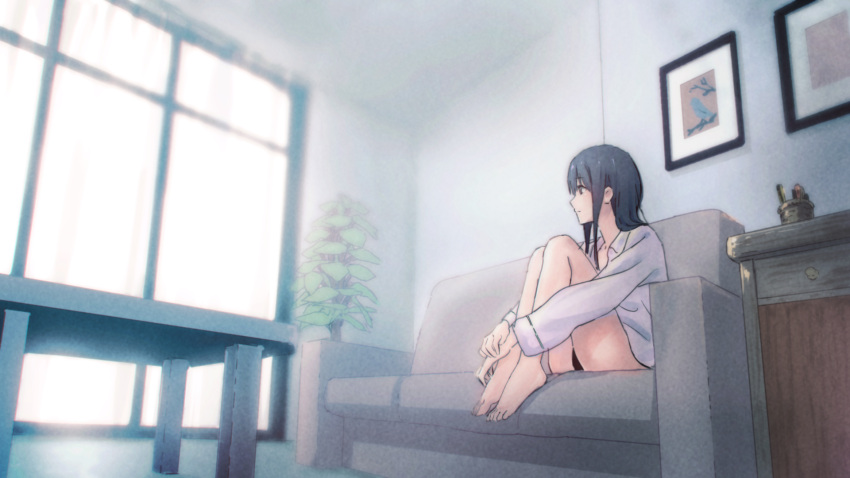 1girl bare_legs barefoot black_hair black_panties coffee_table couch curtains drawer dress_shirt hibike!_euphonium highres indoors knees_up living_room liz_to_aoi_tori looking_out_window painting_(object) panties pantyshot picture_frame piroaki plant potted_plant purple_eyes shirt sitting solo underwear white_shirt window yoroizuka_mizore