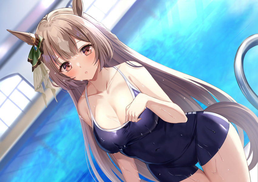 1girl :o absurdres animal_ears blue_swimsuit blush breasts brown_hair cleavage collarbone commentary_request competition_school_swimsuit ear_ribbon green_ribbon harimoji highres horse_ears horse_girl horse_tail large_breasts long_hair looking_at_viewer one-piece_swimsuit partial_commentary red_eyes ribbon satono_diamond_(umamusume) solo swimsuit tail umamusume