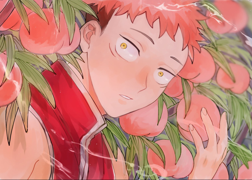 1boy food fruit high_collar highres holding holding_food holding_fruit itadori_yuuji jujutsu_kaisen male_focus non77765 parted_lips peach peach_tree pink_hair plant portrait red_tabard sleeveless solo tabard undercut wide-eyed yellow_eyes