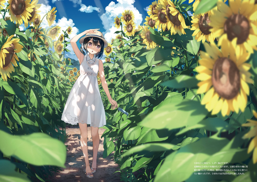 1girl :o arm_up bangs black_hair blue_sky blurry bra bra_through_clothes cloud collared_dress commentary_request day depth_of_field dress flower food hair_ornament hat hat_ribbon highres holding holding_food kantoku leaf light_rays open_mouth original outdoors panties popsicle purple_eyes ribbon sandals see-through see-through_dress shizuku_(kantoku) sky sleeveless sleeveless_dress solo sunbeam sundress sunflower sunlight underwear white_bra white_dress white_panties