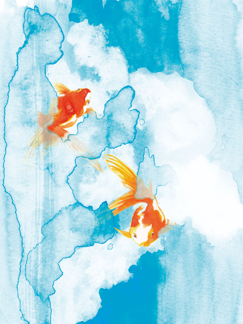 animal artworksmil fins fish gills goldfish highres no_humans original painting_(medium) shadow solo traditional_media watercolor_(medium)