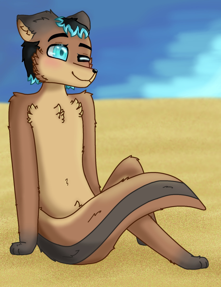 ahoge anonymous_artist anthro beach black_hair black_nose blue_eyes blue_highlights blush brown_body brown_ears brown_fur brown_tail chest_tuft eyebrows front_view fur girly hair hands_on_ground hi_res highlights_(coloring) looking_at_viewer male mammal mouth_closed mustelid one_eye_closed otter pupils raised_eyebrow sand seaside sitting sitting_on_ground sky small_hands smile solo tail tan_chest tuft white_pupils wink winking_at_viewer