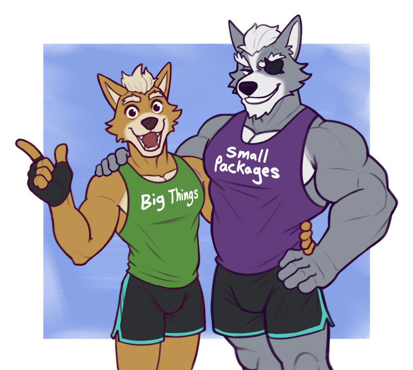 absurd_res anthro biceps bottomwear bulge canid canine canis clothing countershading duo eye_patch eyewear fox fox_mccloud hi_res livingbread_(artist) looking_at_viewer male male/male mammal muscular muscular_anthro muscular_male nintendo nipples pecs shirt shorts smile star_fox tank_top topwear wolf wolf_o'donnell
