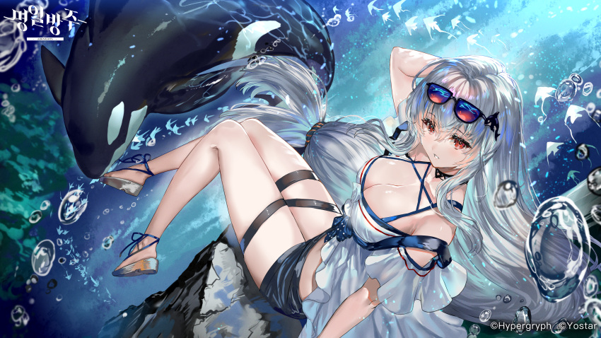 1girl absurdres ahoge animal arknights black_gloves blue_background breasts bubble cleavage commentary_request copyright_name eyewear_on_head fish gloves grey_hair hair_between_eyes hand_on_head highres huge_filesize korean_commentary korean_text large_breasts long_hair looking_at_viewer low-tied_long_hair official_alternate_costume official_art official_wallpaper orca parted_lips ran'ou_(tamago_no_kimi) red_eyes rock shirt sitting skadi_(arknights) skadi_(waverider)_(arknights) smile solo sunglasses swimsuit thigh_strap thighs underwater very_long_hair watermark white_shirt