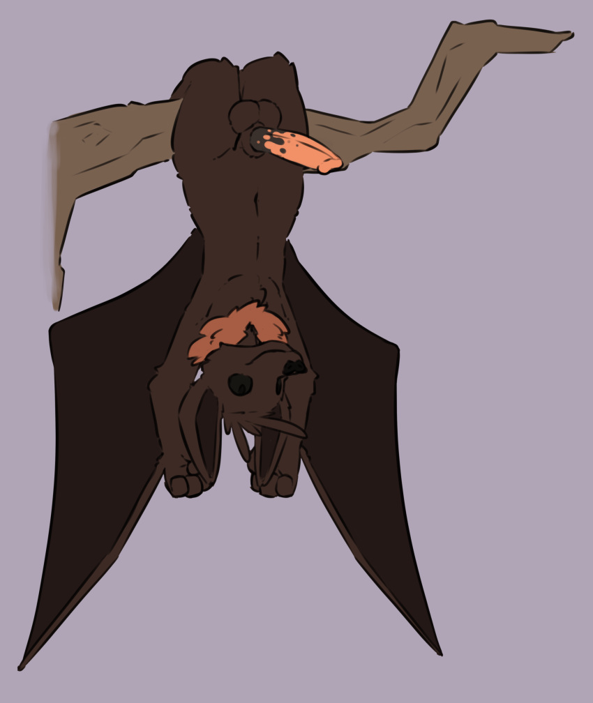 absurd_res anthro balls bat genitals hi_res male mammal penis sarek_aran_desian upside_down