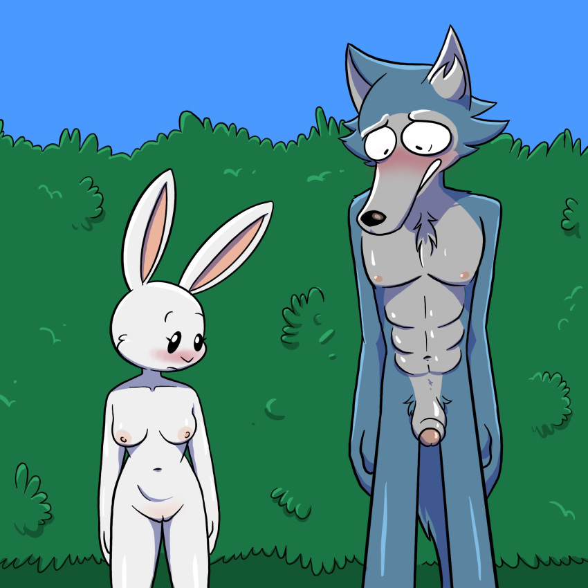 2023 abs anthro athletic athletic_male beastars blush breasts canid canine canis chest_tuft crotch_tuft domestic_rabbit duo dwarf_rabbit embarrassed female flaccid foreskin fur genitals grey_body grey_fur haru_(beastars) hi_res humanoid_genitalia humanoid_penis lagomorph larger_male legoshi_(beastars) leporid male mammal nipples nude nude_female nude_male oryctolagus outside partially_retracted_foreskin penis public public_nudity pussy rabbit size_difference smaller_female theenfman toony tuft white_body white_fur wolf