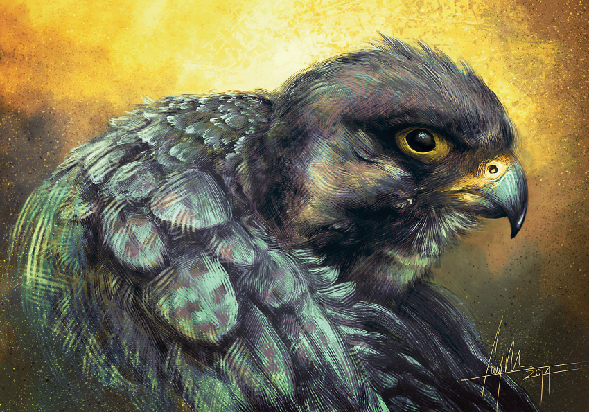 2014 action_pose ambiguous_feral ambiguous_gender avian beady_eyes bird black_eyes caymartworks detailed detailed_feathers falcon falconid feathered_wings feathers feral flapping_wings glistening glistening_eyes gradient_background hi_res portrait pose side_view simple_background solo speckled two_tone_beak wings