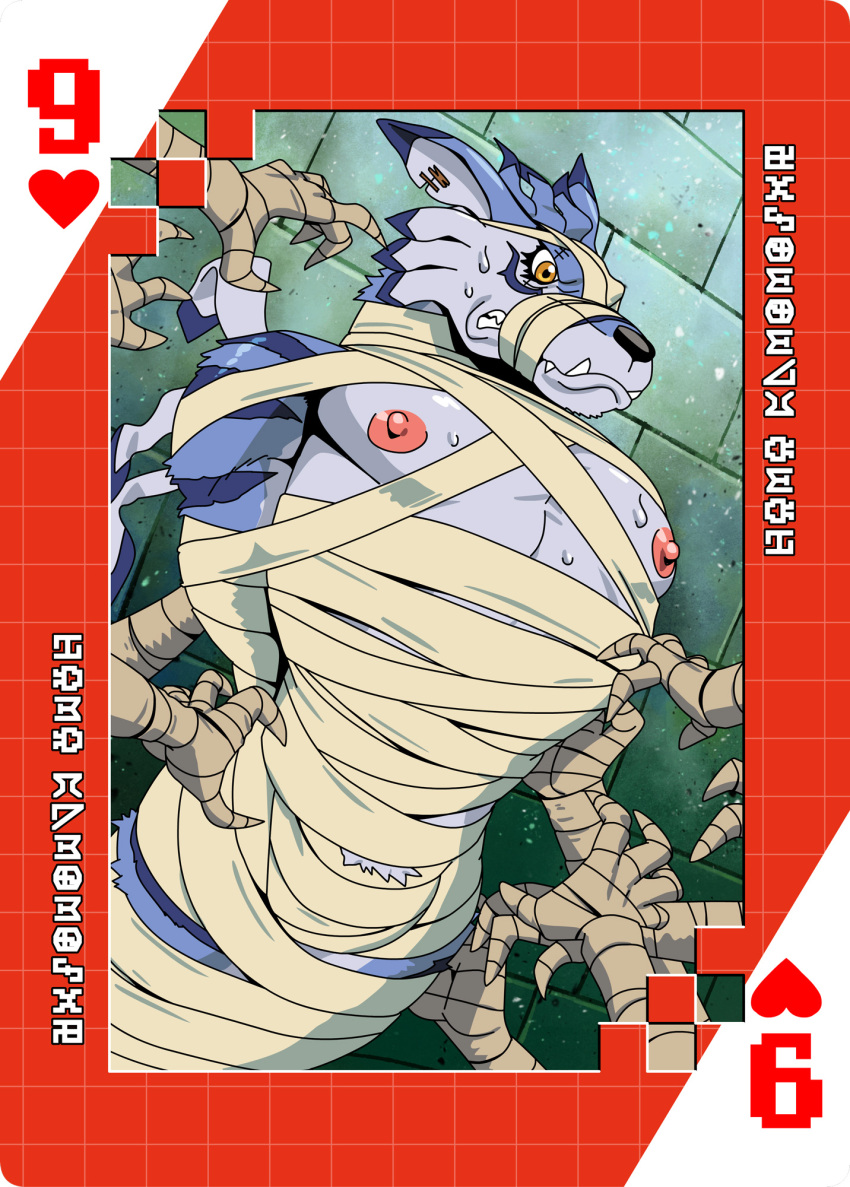 anthro bandai_namco bdsm bodily_fluids bound bulge card digimoji digimon digimon_(species) fur hi_res male mummy_wrappings muscular muscular_anthro muscular_male nipples pecs playing_card roaringmoon striped_body striped_fur stripes suit_symbol sweat weregarurumon