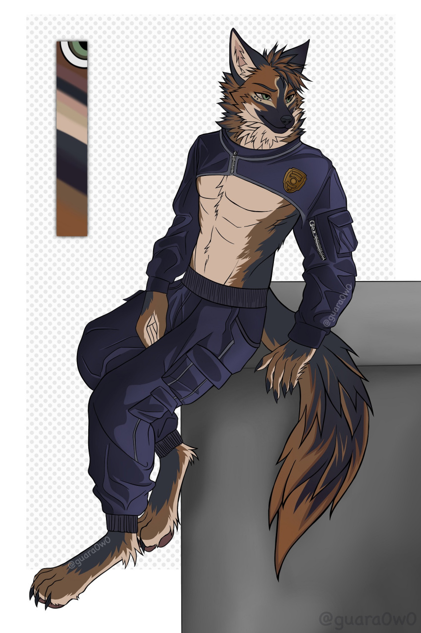 anthro black_body black_fur bottomwear brown_body brown_fur brown_hair canid canine canis clothing domestic_dog fluffy fluffy_tail fur german_shepherd green_eyes guara0w0 hair half_naked herding_dog hi_res jacket male mammal model_sheet naked_torso pants pastoral_dog police police_badge police_uniform simple_background solo tail topwear uniform white_background