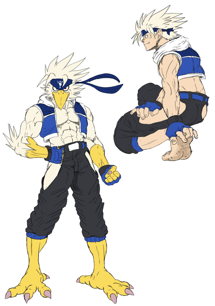 accipitrid accipitriform aquila_(bandanabird) avian bandanabird bandanna beak bird clothing eagle feet hi_res human humanoid kerchief legwear male mammal muscular muscular_male source_request tagme talons toes unavailable_at_source yellow_beak