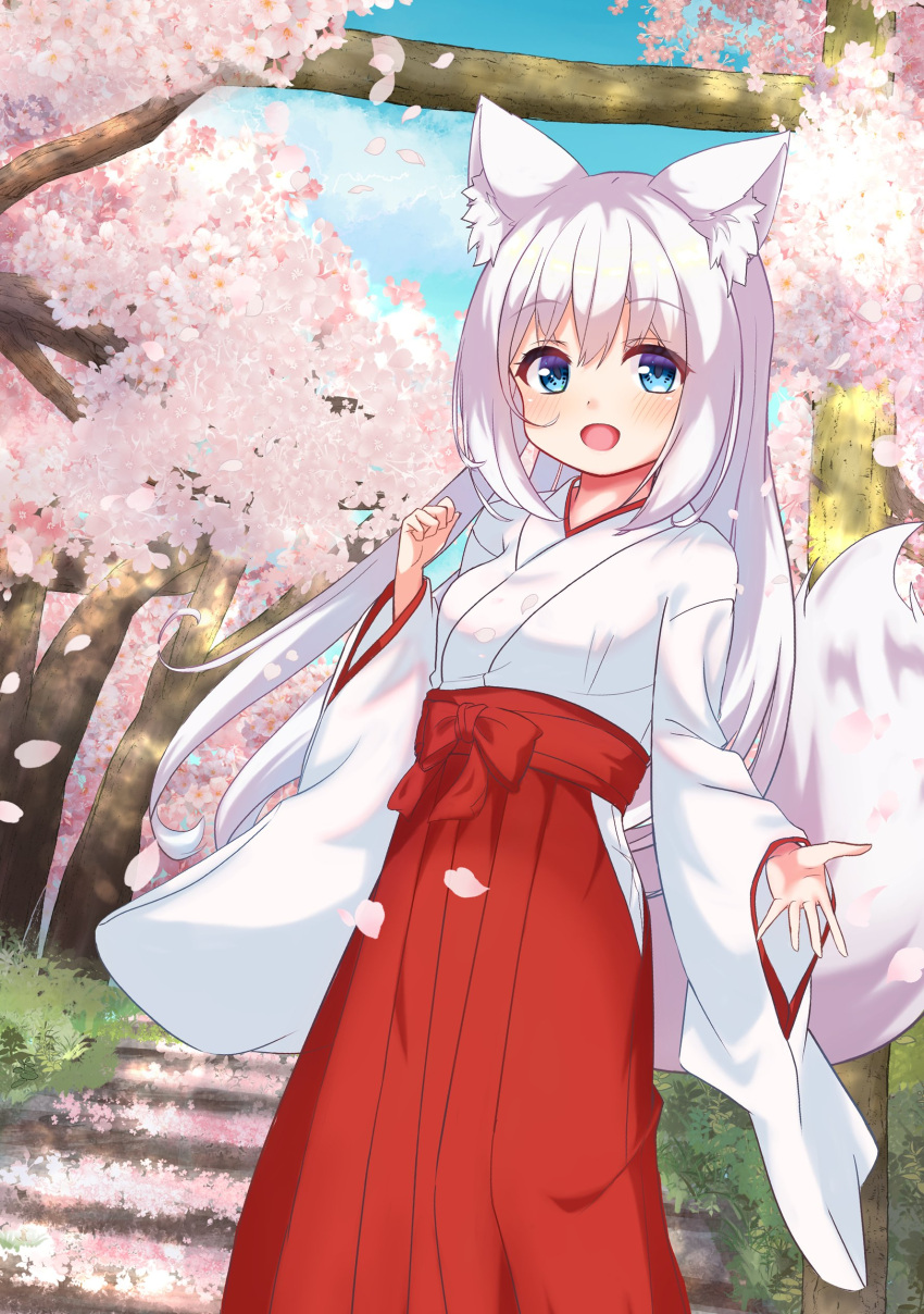 1girl :d absurdres animal_ears blue_sky bow branch breasts cloud commentary_request day flower fox_ears fox_girl fox_tail hair_between_eyes hakama hakama_skirt highres hip_vent japanese_clothes kimono long_hair long_sleeves looking_at_viewer miko original outdoors petals pink_flower red_bow red_hakama roicede skirt sky small_breasts smile solo stairs stone_stairs tail tree very_long_hair white_hair white_kimono wide_sleeves