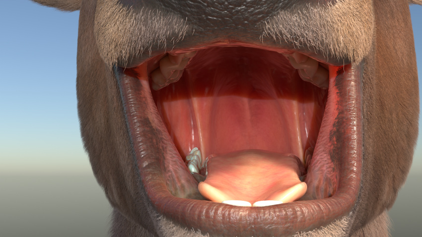 deer deer_(untied_verbeger) hi_res humanoid male mammal mouth_shot no_uvula open_mouth solo teeth throat tongue untied_verbeger yawn