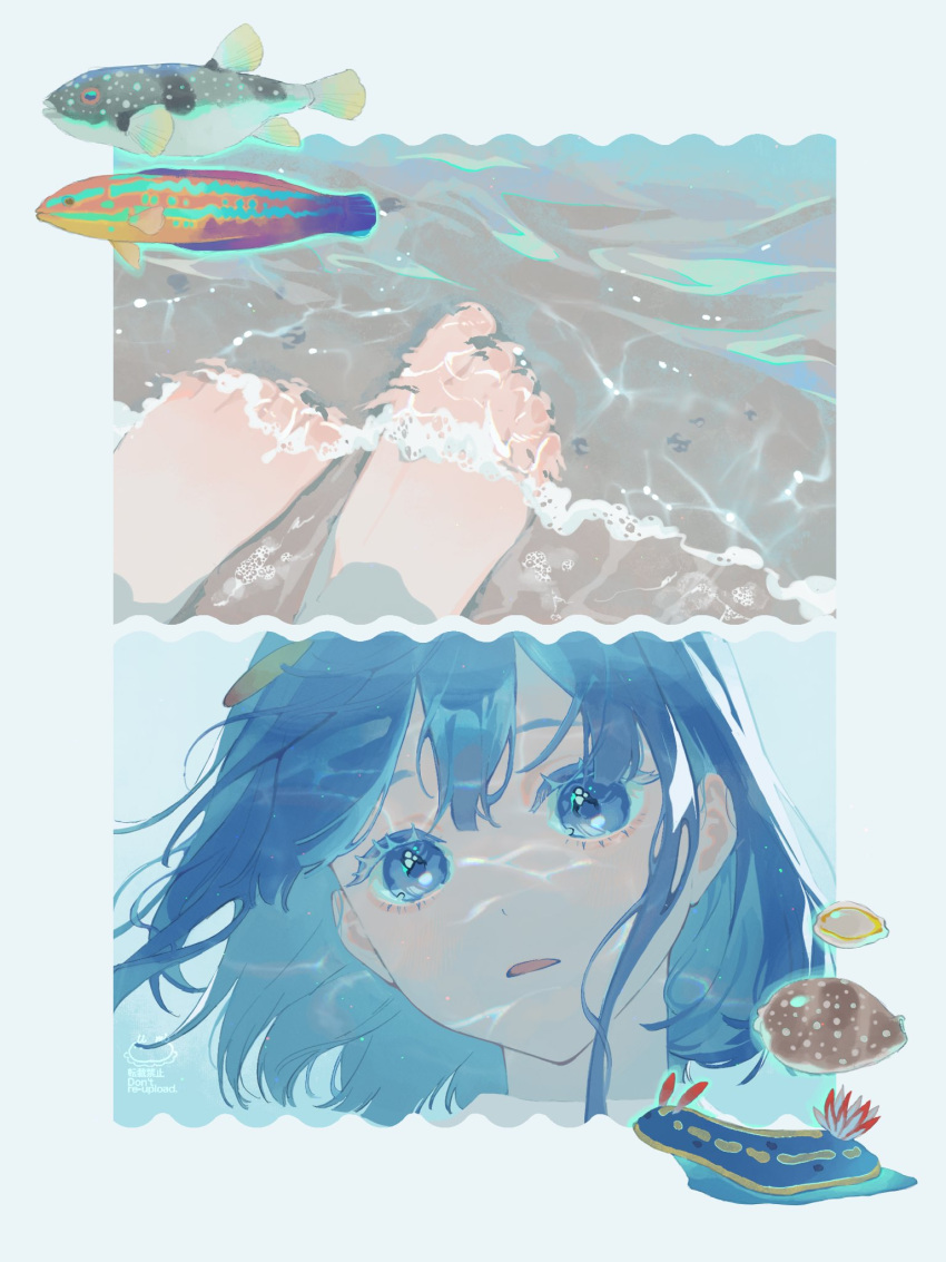 1girl barefoot blue_eyes blue_hair caustics d: feet fish hair_between_eyes head_tilt highres looking_at_viewer medium_hair multiple_views open_mouth original sand sea_slug sidelocks toes umi_(umi04787030) wading water