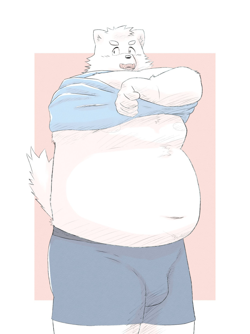 2024 anthro belly big_belly bulge canid canine canis clothing domestic_dog hi_res kan_kan_kanzaki kemono male mammal moobs navel overweight overweight_male simple_background solo underwear undressing