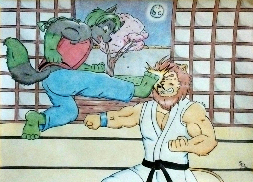 2020 4_toes 5_fingers anthro barazoku biceps black_body black_fur blossoms canid canine canis clenched_teeth clothed clothing dashthefox detailed detailed_background dojo eyes_closed feet felid fight fingers flying_kick fur green_hair hair hi_res karate karate_belt karate_outfit karate_pants keikogi kick light lion male mammal martial_arts_uniform midair moonlight movement multicolored_body multicolored_fur muscular muscular_anthro muscular_arms muscular_male naki_silverwind night open_mouth pain pantherine plant sportswear tail tail_tuft tan_body tan_fur teeth tied_hair toes traditional_media_(artwork) tree tuft wolf wolf_tail