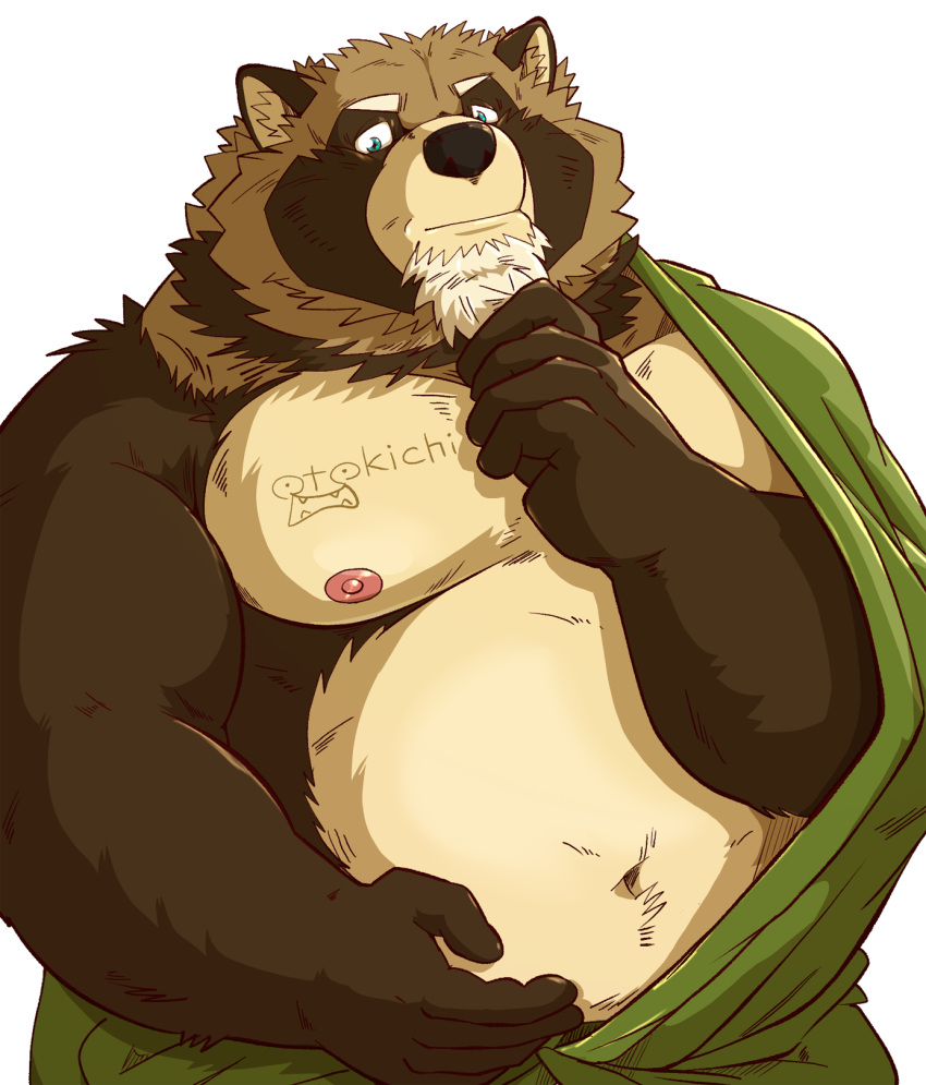 2024 anthro belly brown_body brown_fur canid canine fur hi_res humanoid_hands kemono male mammal mature_male moobs navel nipples overweight overweight_male raccoon_dog raichoclub simple_background solo tanuki