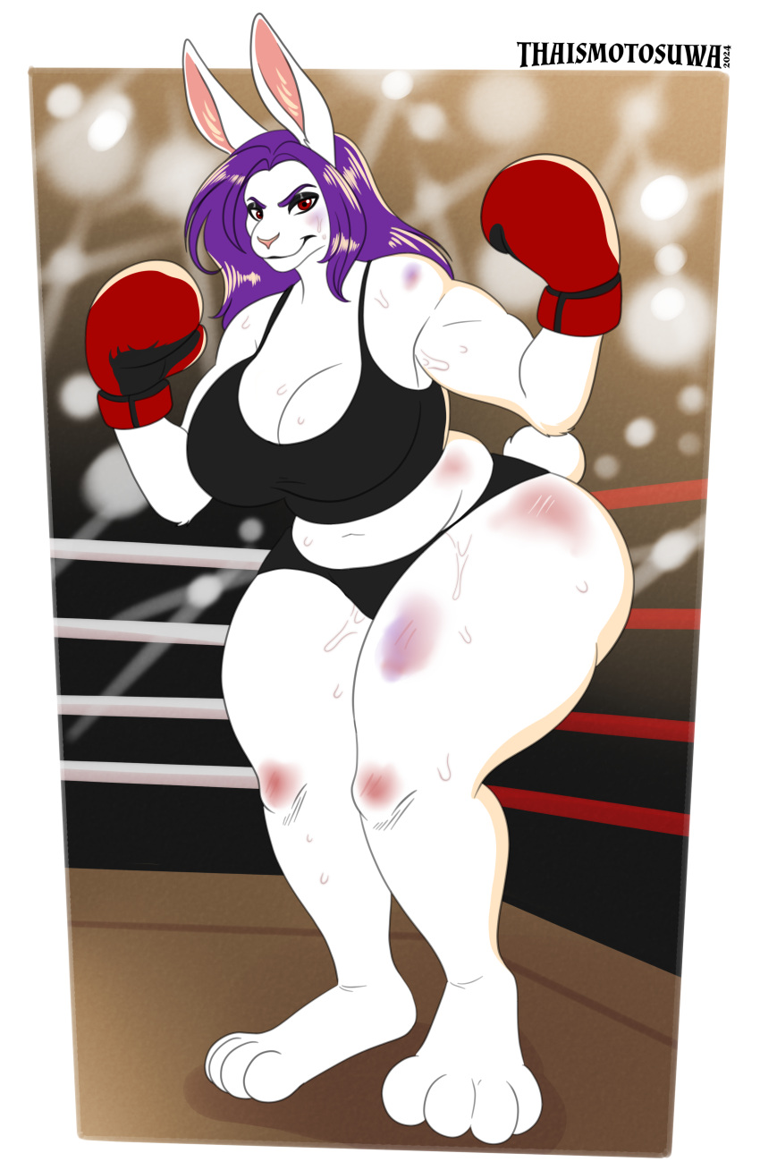 2024 absurd_res anthro big_butt bodily_fluids boxing boxing_gloves bruised bruised_arm bruised_face bruised_leg butt clothed clothing female handwear hi_res lagomorph leporid mammal rabbit solo sport sweat thaismotosuwa thick_thighs