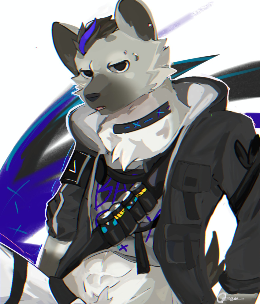 2024 anthro arknights black_hair blue_hair bottomwear clothing collar ear_piercing eyebrow_piercing facial_piercing fur grey_body grey_fur hair hi_res hyena hypergryph jacket looking_at_viewer male mammal pants piercing shirt_up solo spot_(arknights) spotted_hyena stnpxts studio_montagne tail topwear