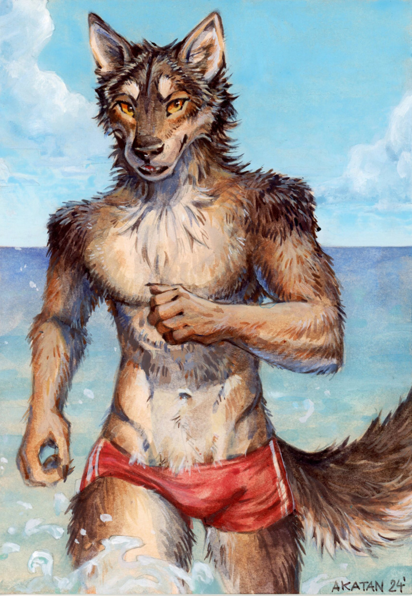 acrylic_painting_(artwork) akatan_art anthro arm_tuft bottomwear brown_body brown_fur bulge canid cheek_tuft clothed clothing facial_tuft fur glistening glistening_eyes hi_res looking_at_viewer male mammal navel open_mouth orange_eyes outside painting_(artwork) partially_submerged red_bottomwear red_clothing shoulder_tuft signature solo tan_body tan_fur topless traditional_media_(artwork) tuft