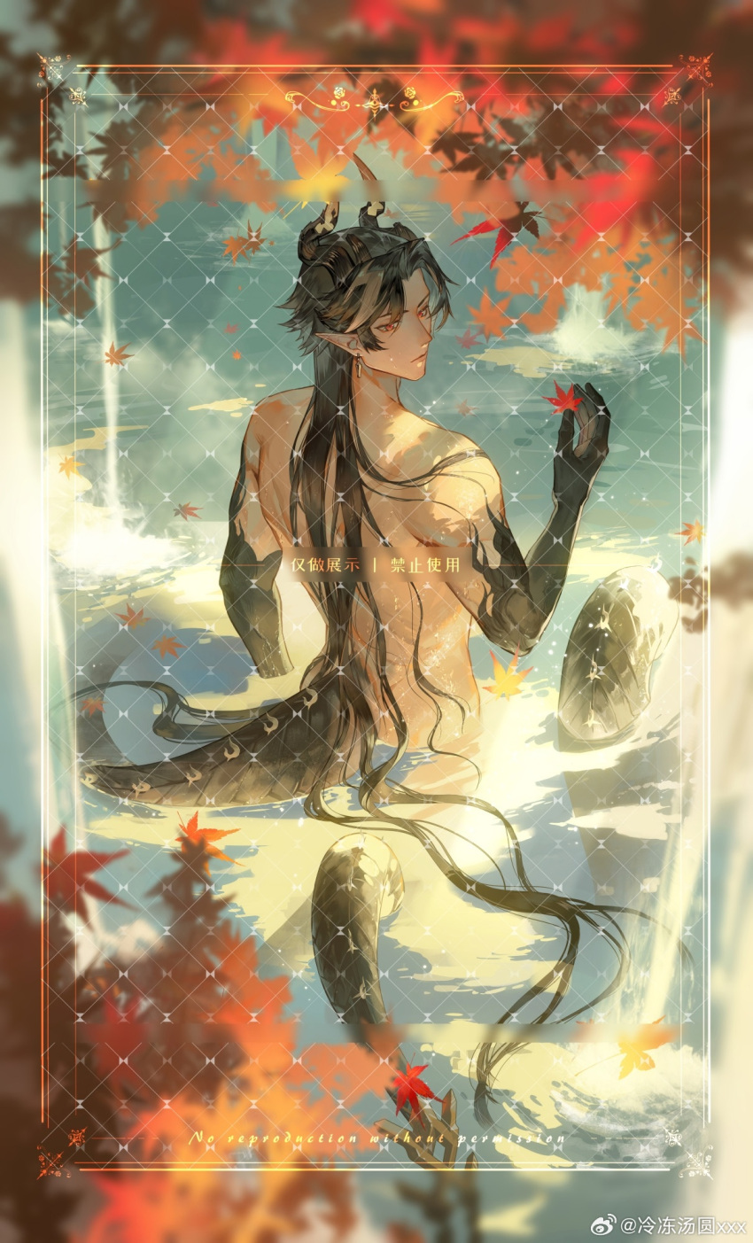 1boy arknights artist_name autumn autumn_leaves black_hair brown_hair chinese_commentary chinese_text chong_yue_(arknights) closed_mouth colored_extremities commentary_request completely_nude dragon_boy dragon_horns dragon_tail earrings falling_leaves hand_up highres horns jewelry ldty leaf long_hair looking_at_viewer looking_back male_focus multicolored_hair nude pointy_ears red_eyes slit_pupils standing streaked_hair tail translation_request very_long_hair very_long_tail wading water watermark weibo_watermark