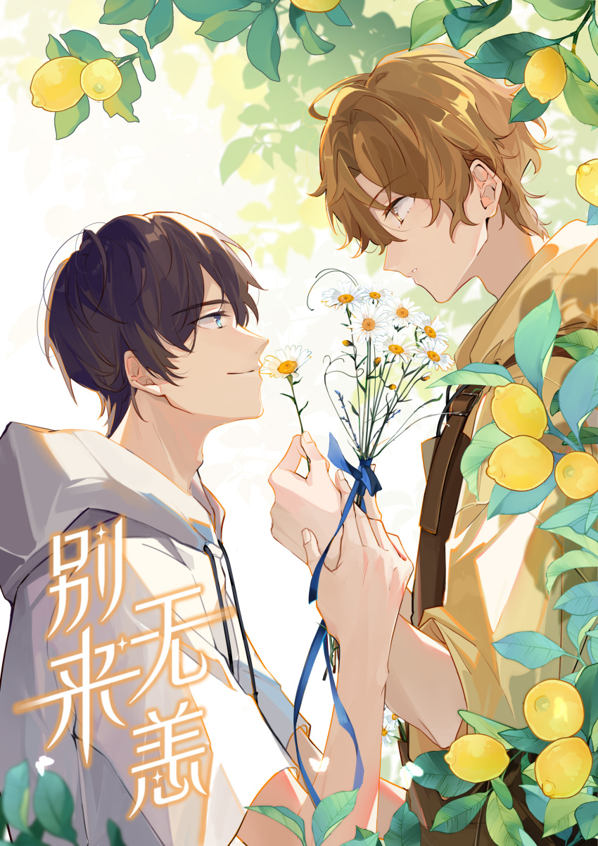 2boys absurdres apron blue_eyes brown_apron brown_eyes brown_hair closed_mouth commentary eye_contact eyebrows_visible_through_hair flower food from_side fruit highres holding holding_flower holding_hands hood hood_down hoodie leaf lemon looking_at_another male_focus multiple_boys original parted_lips short_hair short_sleeves smile suyako_(suya93) translation_request tree very_short_hair white_flower white_hoodie yaoi yellow_hoodie