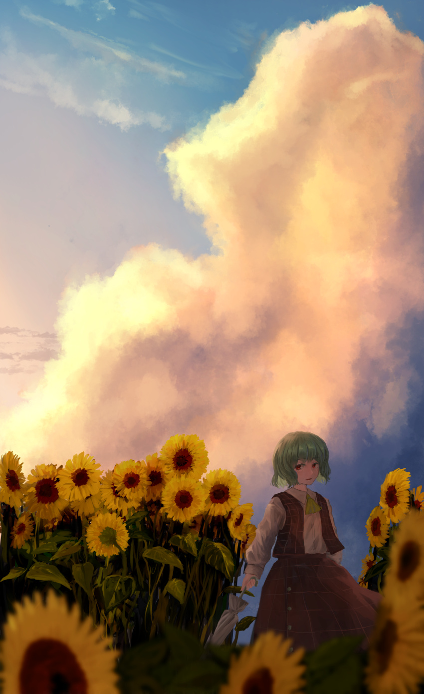 1girl arm_at_side ascot bangs blue_sky blurry blurry_foreground buttons closed_umbrella cloud collared_shirt colored_eyelashes cumulonimbus_cloud day eyebrows_visible_through_hair garden_of_the_sun green_hair highres holding holding_umbrella kazami_yuuka kougekiryoku long_skirt long_sleeves looking_to_the_side md5_mismatch open_mouth pink_sky plaid plaid_skirt plaid_vest red_eyes red_skirt red_vest shiny shiny_hair shirt short_hair skirt skirt_set sky smile solo sunset touhou umbrella vest white_shirt yellow_neckwear