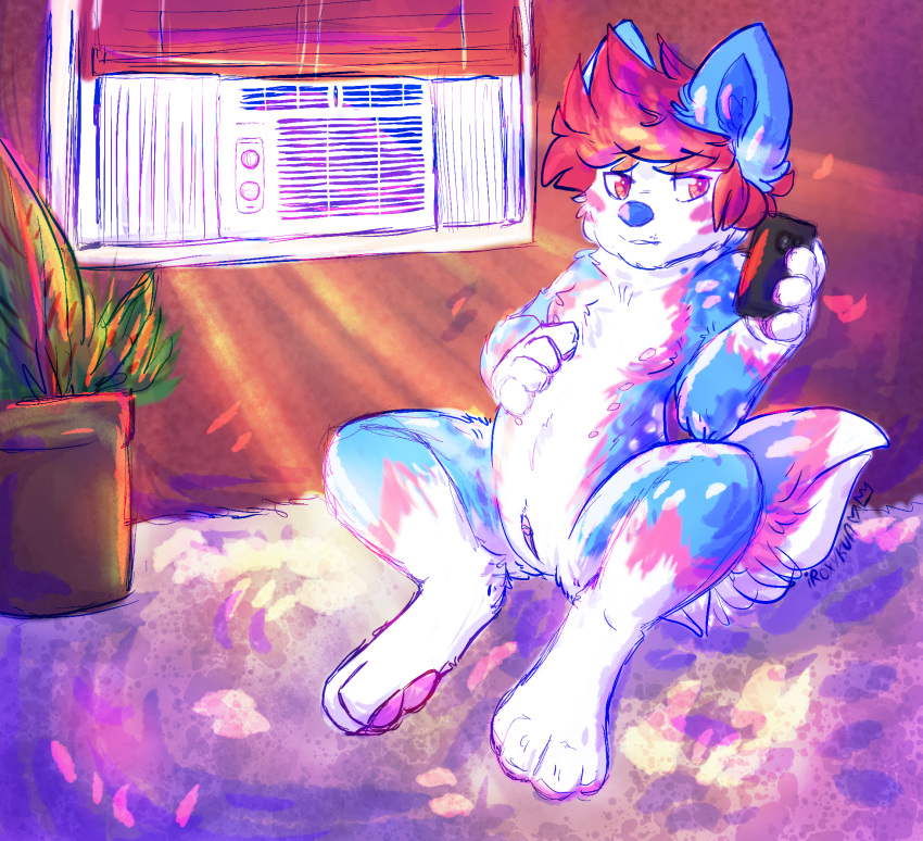 2018 african_wild_dog air_conditioner anthro blinds blue_fur canine cuntboy digital_media_(artwork) dog fangs fur hair inside intersex iroxykun mammal nipples nude pawpads paws phone pink_fur plant pussy red_hair solo teeth white_fur window