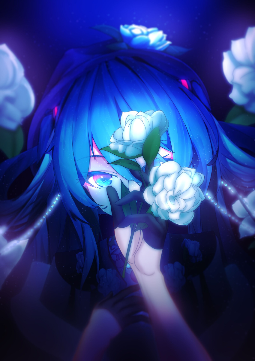 1girl 834588648 absurdres bangs black_dress black_gloves blue_background blue_eyes blue_hair commentary dress english_commentary flower gloves hair_between_eyes half_gloves hatsune_miku highres holding holding_flower jasmine_(flower) long_hair looking_at_viewer solo upper_body vocaloid white_flower