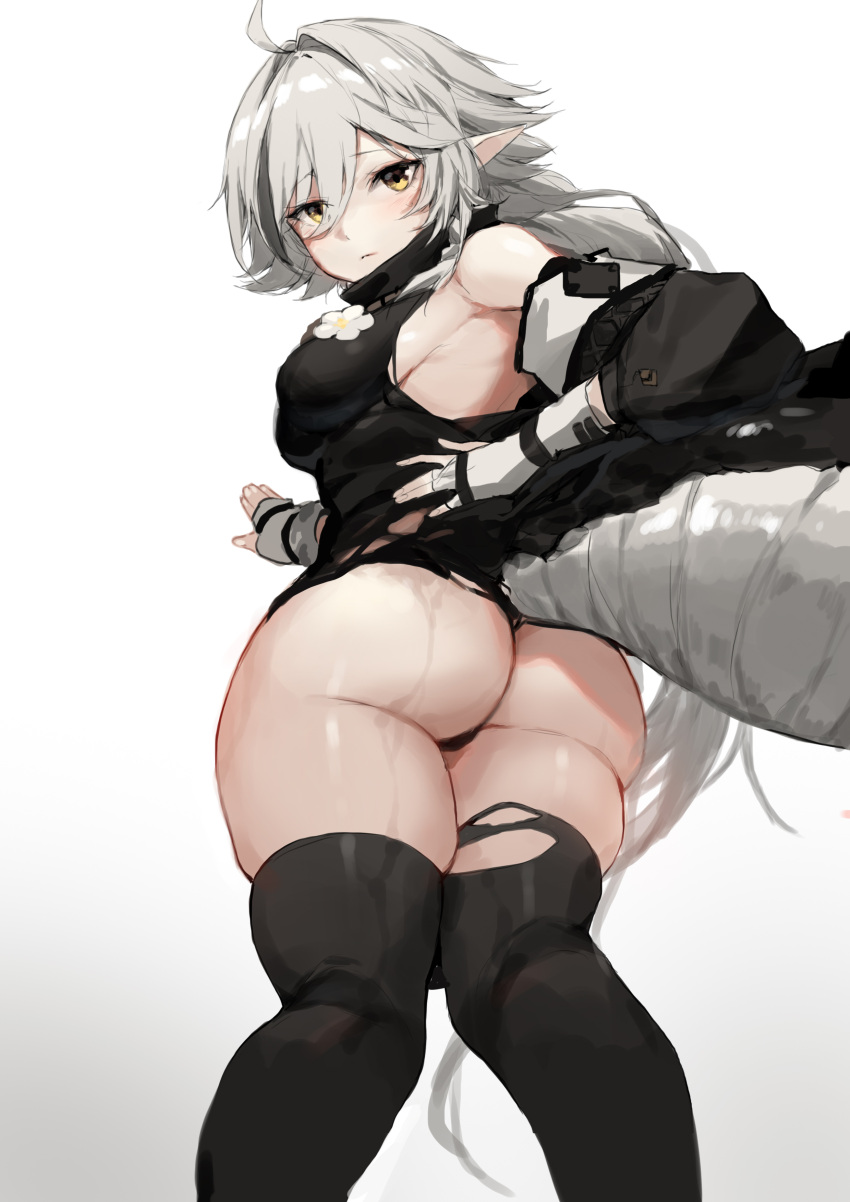 1girl absurdres arknights ass bangs bare_shoulders black_legwear crocodilian_tail from_behind gloves halterneck highres jacket_partially_removed large_tail legs_together looking_back molyb plump pointy_ears solo tail thick_thighs thighhighs thighs tomimi_(arknights) torn_clothes torn_legwear white_gloves white_hair yellow_eyes