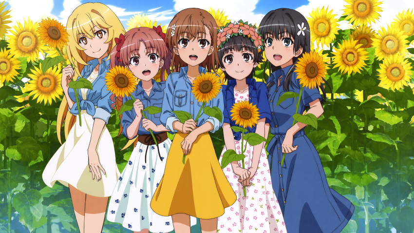 cropped dress flowers group misaka_mikoto saten_ruiko scan shirai_kuroko shokuhou_misaki summer_dress sunflower to_aru_kagaku_no_railgun to_aru_majutsu_no_index uiharu_kazari