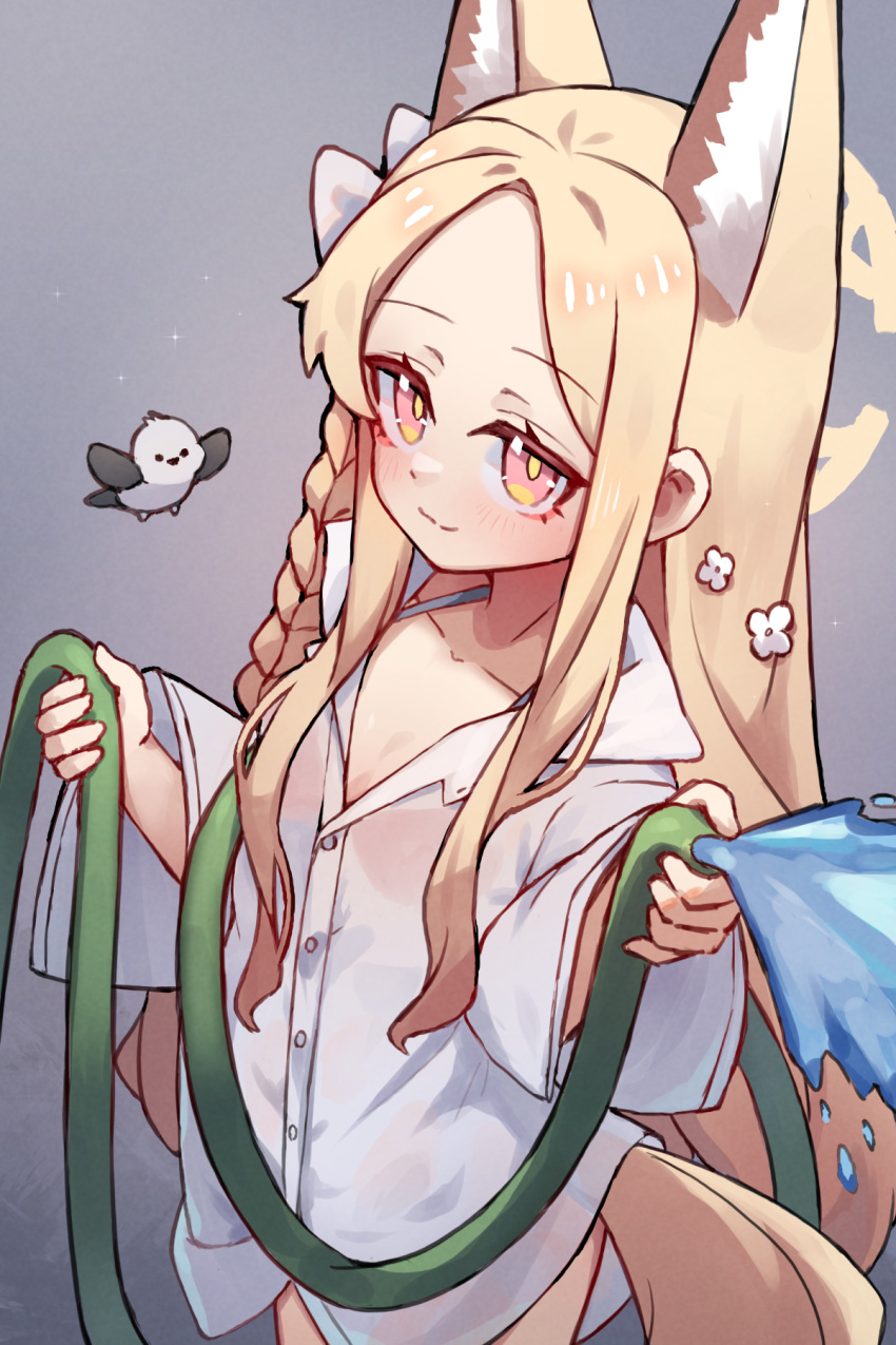 1girl animal_ears bikini bikini_under_clothes bird blonde_hair blue_archive braid closed_mouth cosplay extra_ears fox_ears fox_girl grey_background halo hanako_(blue_archive) hanako_(blue_archive)_(cosplay) hanako_(swimsuit)_(blue_archive) highres holding holding_hose hose long_hair long_sleeves looking_at_viewer miya_(miyaruta) red_bikini red_eyes seia_(blue_archive) shirt solo swimsuit very_long_hair white_shirt yellow_halo