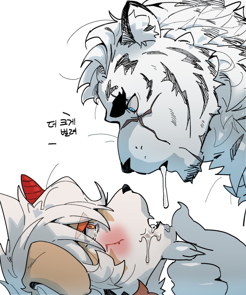 2boys animal_ears arknights bara blush close-up eye_contact face finger_to_another's_chin furry furry_male furry_with_furry gundii highres korean_text looking_at_another male_focus mountain_(arknights) multiple_boys open_mouth saliva saliva_trail scar scar_across_eye sexually_suggestive short_hair tearing_up thick_eyebrows tiger_boy tiger_ears translation_request white_fur yaoi