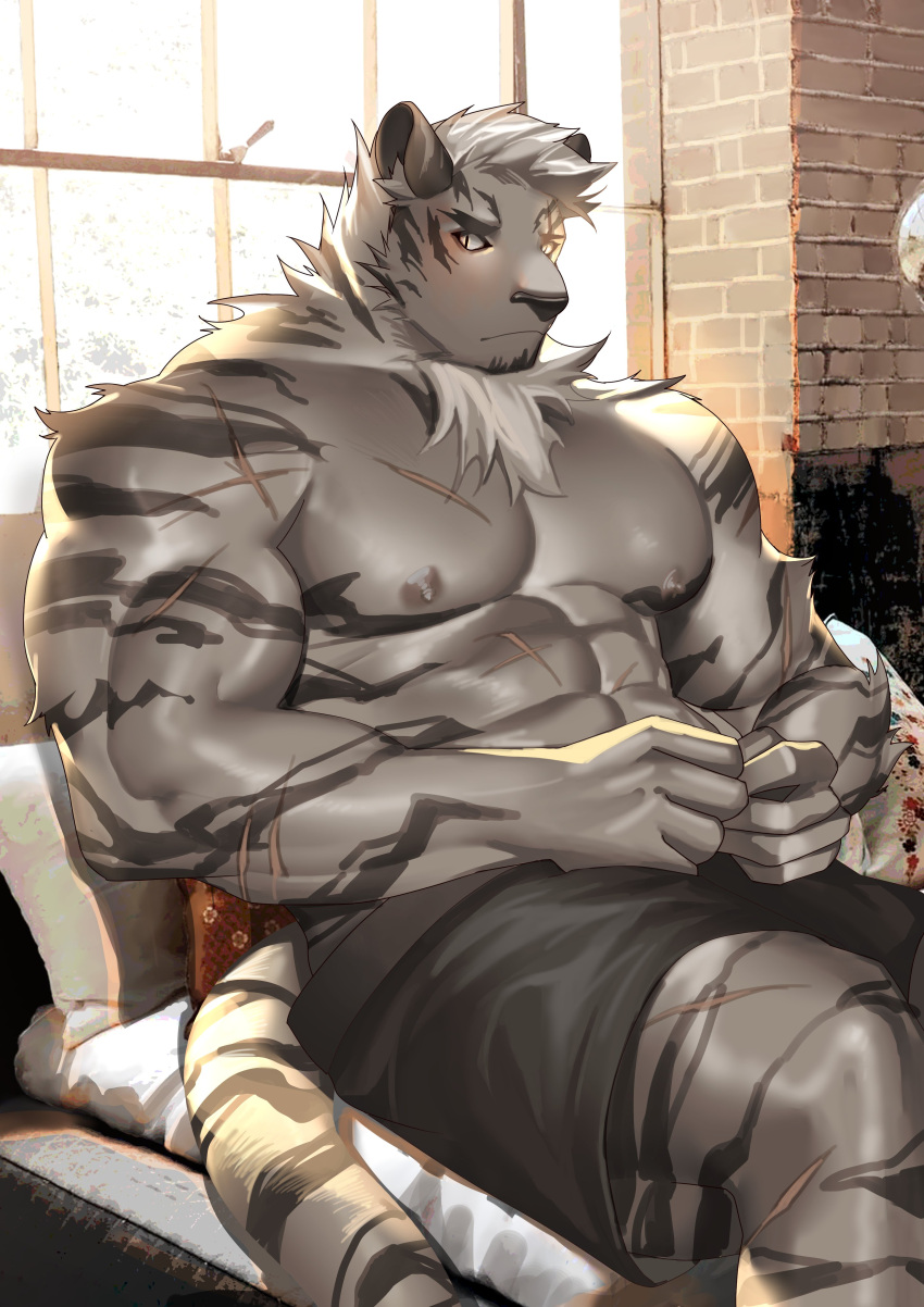 1boy abs absurdres animal_ears arknights arthurtng bara black_shorts blush fidgeting furry furry_male highres index_fingers_together large_pectorals male_focus mountain_(arknights) muscular muscular_male nipples pectorals scar scar_across_eye scar_on_arm scar_on_chest scar_on_leg shirtless short_hair shorts sitting solo stomach sunlight tiger_boy tiger_ears white_fur white_hair window