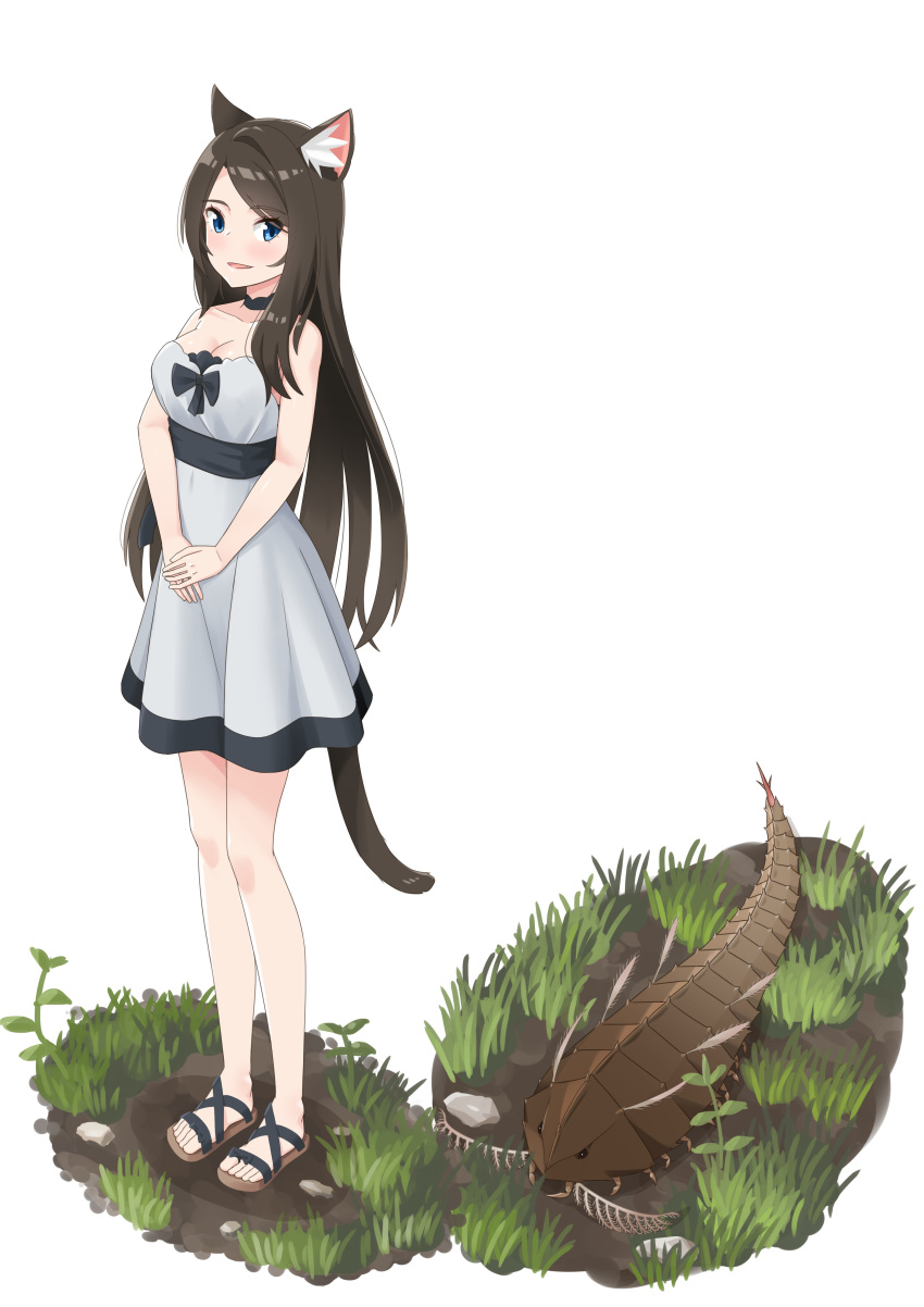 1girl :d absurdres aina_(mao_lian) animal_ear_fluff animal_ears animal_request bare_arms bare_shoulders black_choker black_sash blue_eyes blush breasts brown_hair cat_ears cat_tail choker cleavage grass highres large_breasts long_hair looking_at_viewer mao_lian_(nekokao) open_mouth original parted_lips sandals sash simple_background smile solo standing tail white_background