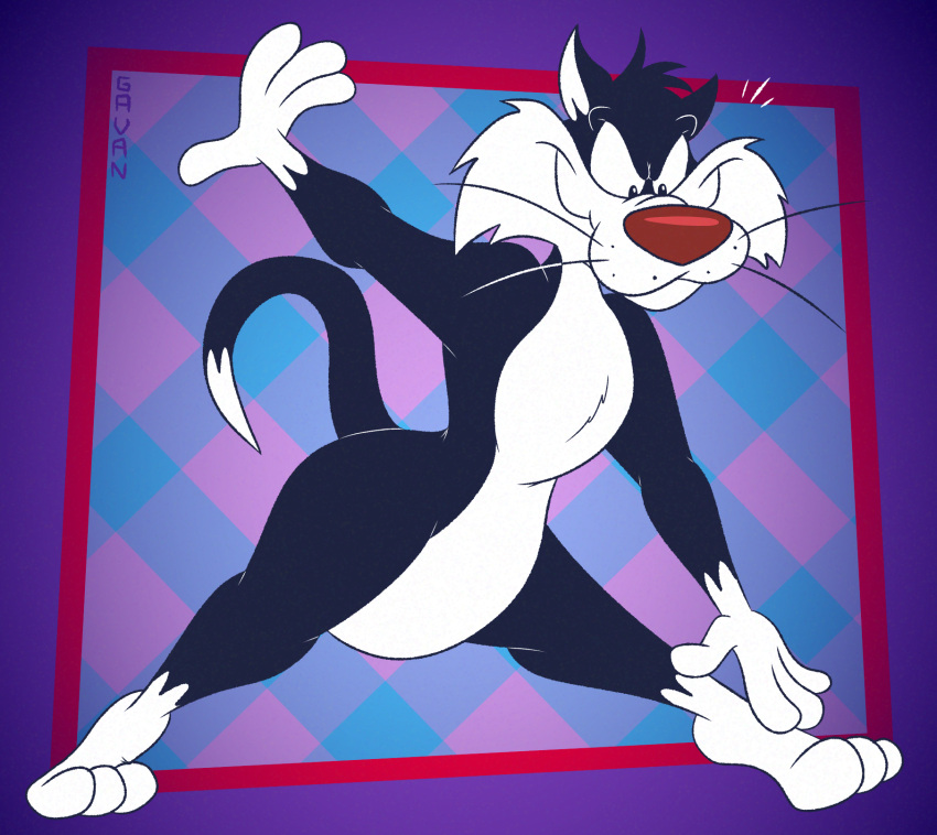 2026 3_toes 4_fingers alternate_version_at_paywall anthro belly bending_down bent_down big_butt biped black_body black_eyes black_fur butt checkered checkered_background cheek_tuft colored curling_tail curvy_figure digital_drawing_(artwork) digital_media_(artwork) dipstick_tail domestic_cat exercise facial_tuft feet felid feline felis fingers flat_colors fur gavanzude gloves_(marking) hand_on_foot hand_on_own_foot head_tuft hi_res humanoid_heel leg_markings lines_drawn looking_at_own_foot looking_down looking_down_at_foot looking_down_at_self looney_tunes male mammal markings nude pattern_background pinup plantigrade pose raised_heel red_nose signature simple_background slightly_chubby slightly_chubby_anthro slightly_chubby_male smile smirk socks_(marking) solo standing standing_on_toes sylvester_(looney_tunes) tail tail_markings tiptoes toes tuft tuxedo_cat warner_brothers whisker_spots whiskers white_belly white_body white_feet white_fur white_hands white_sclera white_tail_tip wide_hips
