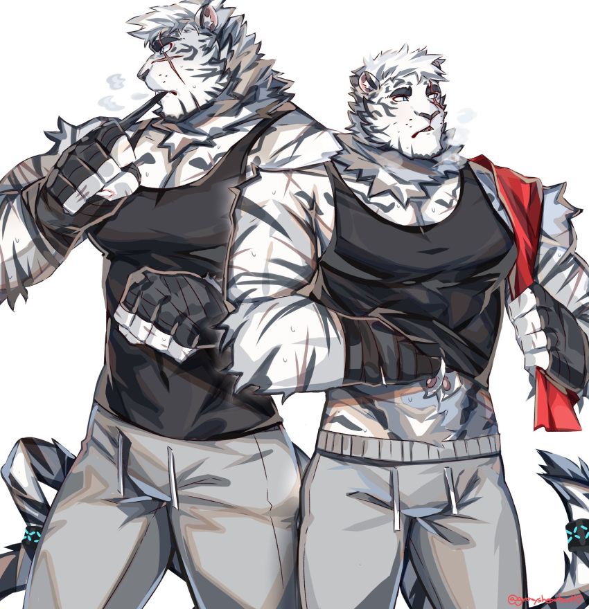 1boy alternate_costume animal_ears arknights bandaged_hands bandages bara bare_shoulders black_tank_top breath bulge fingerless_gloves furry furry_male gloves graysheartart grey_pants hand_under_clothes highres large_pectorals male_cleavage male_focus midriff_peek mountain_(arknights) multiple_views muscular muscular_male pants pectorals scar scar_across_eye scar_on_arm short_hair sidepec tank_top thick_eyebrows tiger_boy tiger_ears towel track_pants white_fur white_hair