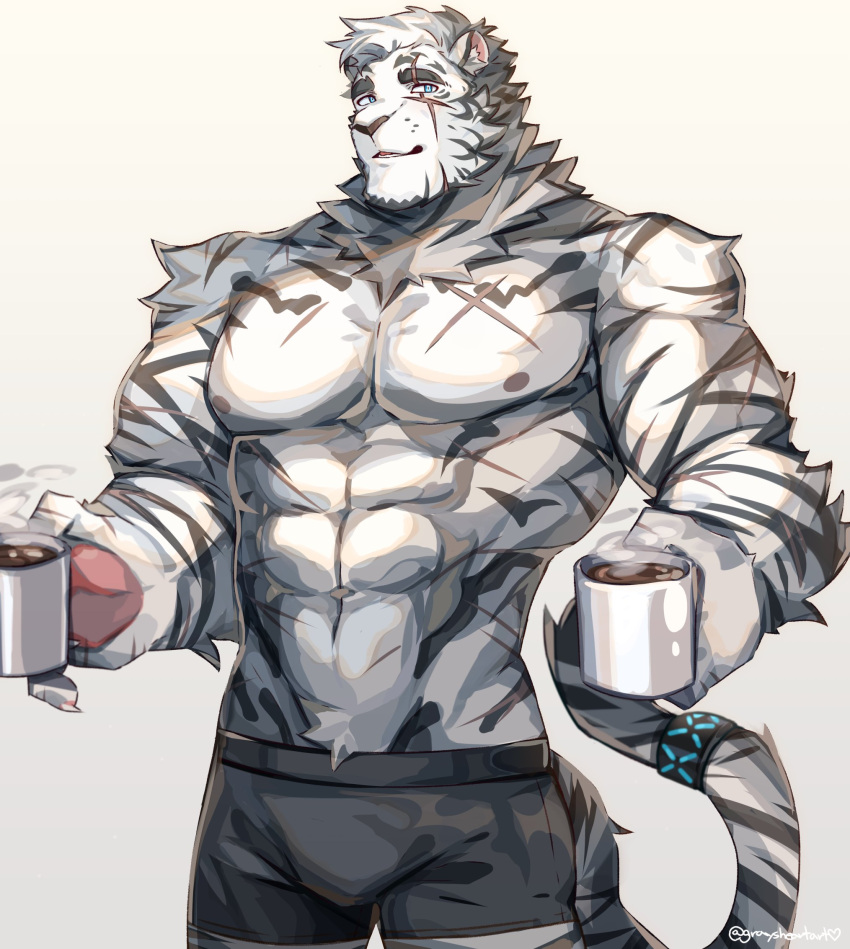 1boy abs animal_ears arknights bara black_male_underwear boxers bulge coffee_mug cup feet_out_of_frame furry furry_male graysheartart highres holding holding_cup large_pectorals looking_at_viewer male_focus male_underwear mountain_(arknights) mug muscular muscular_male navel navel_hair nipples pectorals scar scar_across_eye short_hair smile solo steam stomach tiger_boy tiger_ears underwear underwear_only white_fur white_hair