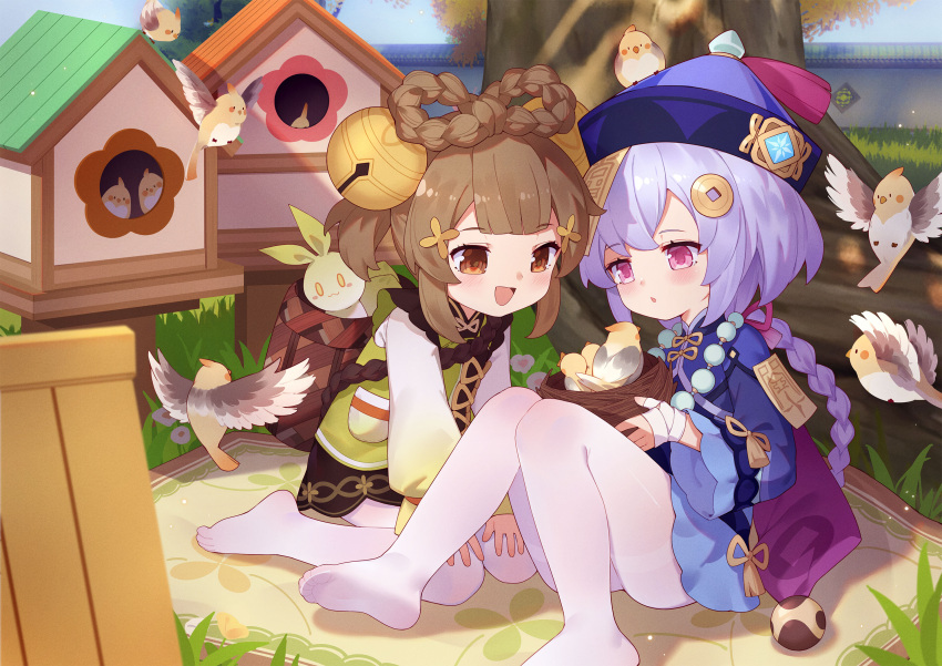 2girls :d animal bandaged_hand bandages bangs bell bird bird_nest bird_request birdhouse blue_dress blue_headwear blush braid brown_eyes brown_flower brown_hair cockatiel commentary_request day dress eyebrows_visible_through_hair feet flower genshin_impact grass green_dress hair_bell hair_flower hair_ornament hair_rings hat highres holding jingle_bell knees_together_feet_apart knees_up long_hair long_sleeves multiple_girls no_shoes ofuda outdoors pantyhose pink_eyes purple_hair qing_guanmao qiqi_(genshin_impact) single_braid sitting sleeves_past_wrists smile tsubasa_tsubasa twin_braids twintails very_long_hair white_legwear wide_sleeves yaoyao_(genshin_impact)