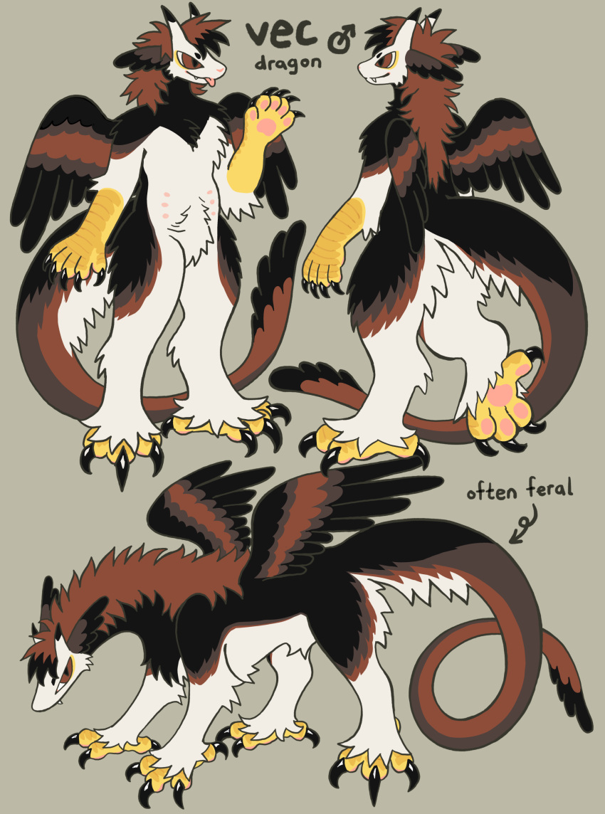 4_toes 5_fingers 6_nipples absurd_res anthro arm_tuft belly_nipples birdpaw_(artist) black_body black_claws black_ears black_feathers black_fur black_highlights black_tail black_tail_tip black_talons black_wings blep brown_body brown_ears brown_eyes brown_feathers brown_fur brown_hair brown_tail brown_wings calf_tuft claws closed_smile countershading crotch_tuft dipstick_horn dipstick_tail dragon elbow_tuft feathered_dragon feathered_scalie feathers feet feral fingers full-length_portrait fur furred_dragon furred_scalie fursona_(birdpaw) gender_symbol grey_background hair hi_res highlights_(coloring) horn leg_tuft male male_anthro male_feral male_symbol markings model_sheet mouth_closed multi_nipple multicolored_body multicolored_feathers multicolored_fur multicolored_hair multicolored_horn multicolored_tail multicolored_wings multiple_images mythological_creature mythological_scalie mythology nipples nude_anthro nude_male pawpads pink_nipples pink_pawpads portrait scalie scutes simple_background smile solo symbol tail tail_markings toes tongue tongue_out tuft two_tone_hair two_tone_horn white_body white_countershading white_feathers white_fur white_tail wings yellow_markings yellow_scutes