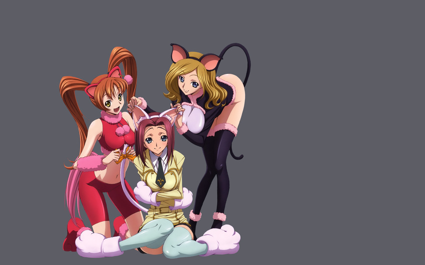 code_geass kallen_stadtfeld milly_ashford shirley_fenette tagme