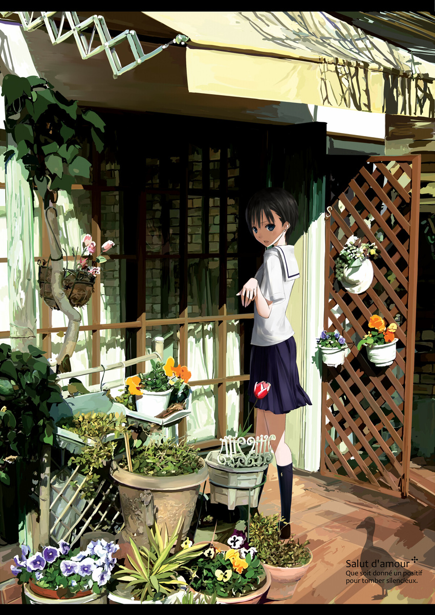 awning black_hair blue_eyes chef_no_kimagure_salad flower french highres kneehighs original plant potted_plant ranguage school_uniform shade short_hair skirt solo sunlight window