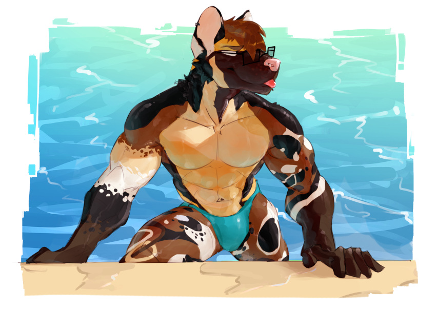 2025 5_fingers abs absurd_res african_wild_dog anthro biceps biped black_body black_fur blep brown_body brown_eyebrows brown_fur brown_hair bulge canid canine canine_nose cheek_tuft clothing deltoids digital_drawing_(artwork) digital_media_(artwork) ear_piercing ear_ring ears_up eyebrows eyewear facial_tuft fingers forearm_muscles front_view fur glasses glistening glistening_body glistening_fur hair hi_res looking_offscreen male male_anthro mammal multicolored_body multicolored_fur muscular muscular_anthro muscular_male muscular_thighs navel partially_clothed_anthro partially_clothed_male pecs piercing pink_nose pinup pose rectangular_glasses rexkoire ring_piercing roland_(wildpaws2048) shaded smile smirk soft_shading solo speedo swimwear tan_body tan_fur tongue tongue_out tuft water wearing_glasses