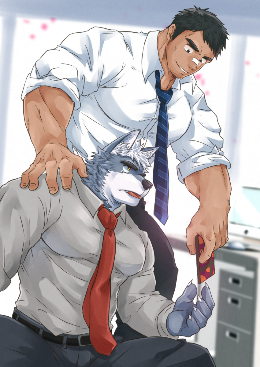 2boys absurdres animal_ears bandaid bandaid_on_nose bara buttons collared_shirt dark-skinned_male dark_skin facial_hair fangs formal furry furry_with_non-furry gift gift_card goatee grey_shirt h_masahiro hand_on_another's_shoulder highres huge_filesize indoors interspecies large_pectorals long_sideburns male_focus mature_male multiple_boys muscular muscular_male necktie original pectorals reward_available shirt short_hair sideburns sleeves_rolled_up smile stubble thick_eyebrows tight tight_shirt white_shirt wolf_boy wolf_ears