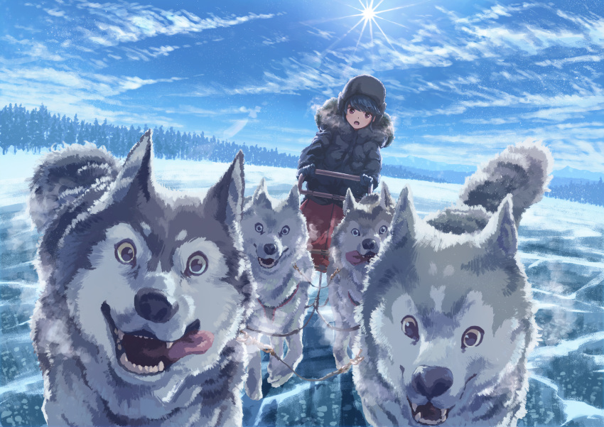 1girl absurdres bangs blue_coat blue_gloves blue_hair blue_sky breath cloud coat commentary_request day dog dog_sled forest full_body fur-trimmed_coat fur_trim gloves highres hooded_coat light_particles looking_at_viewer michinoku_(hiking_miusan18) nature open_mouth outdoors purple_eyes shima_rin sky sled snow solo sun winter_clothes yurucamp
