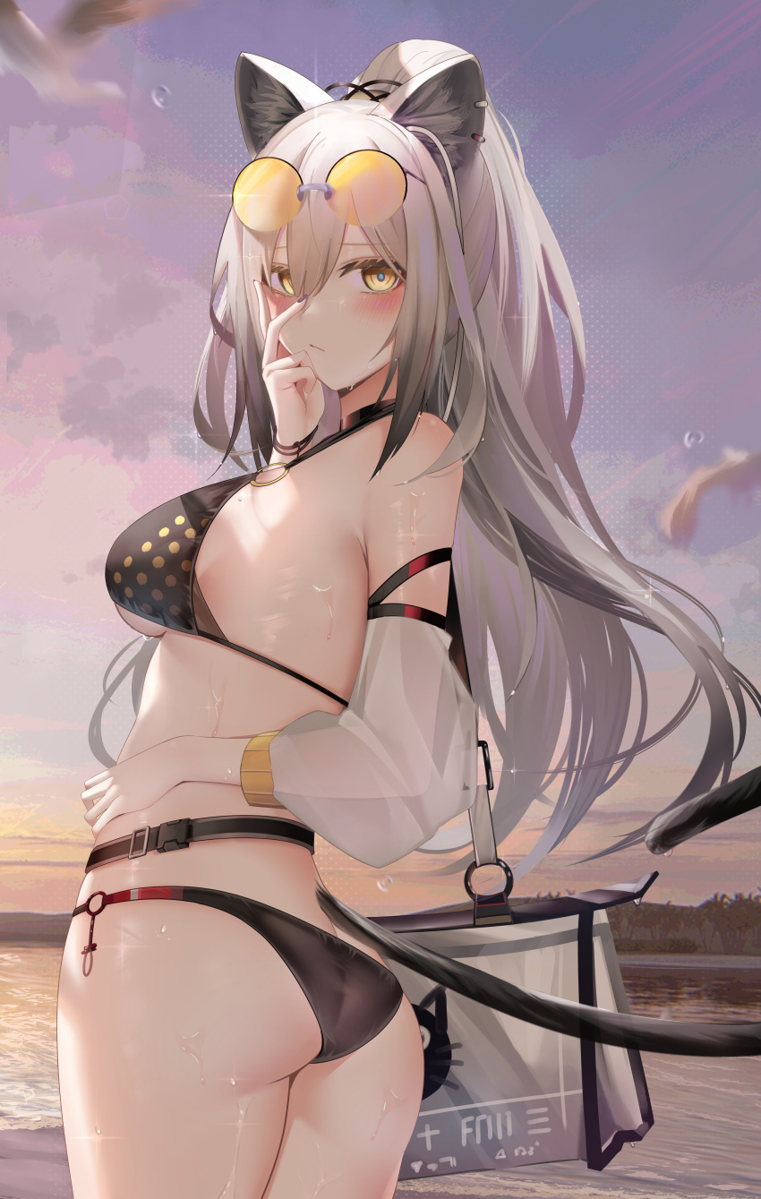 animal_ears arknights ass bikini megane ru_zhai schwarz_(arknights) see_through swimsuits tail underboob wet