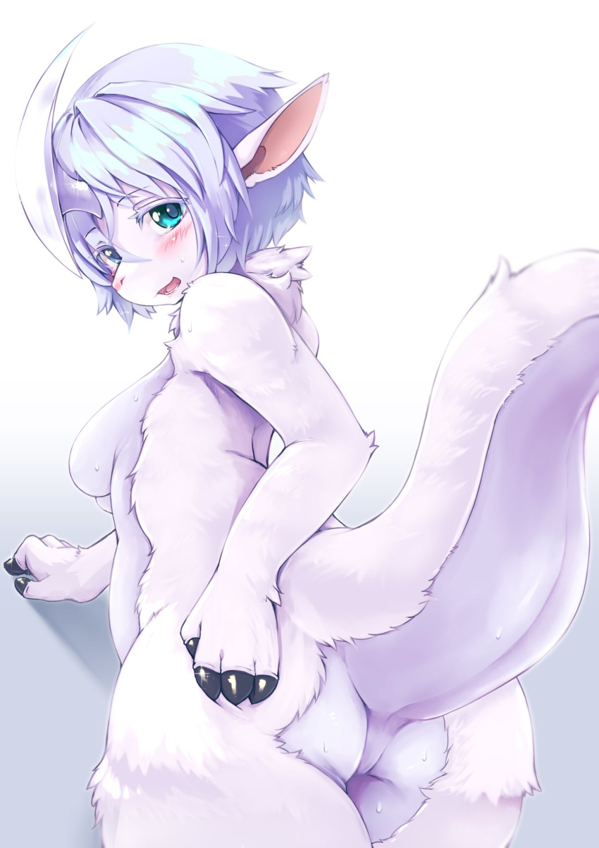 1girl animal_ears ass blue_eyes blue_hair blush body_fur breasts commentary_request completely_nude eyebrows_visible_through_hair furry furry_female highres kageroh medium_breasts nude short_hair solo sweat tail white_fur